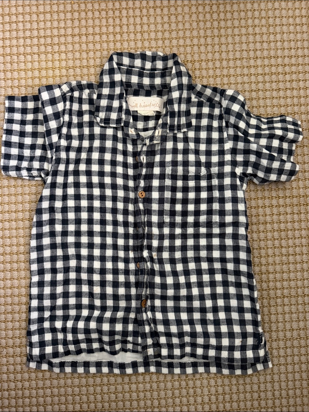 Well Dressed Wolf Navy & White Gingham Button-Up Shirt